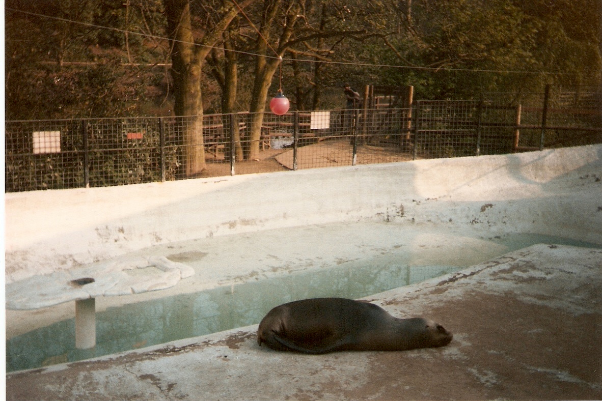 Ancient photos of Colchester circa1987-1988