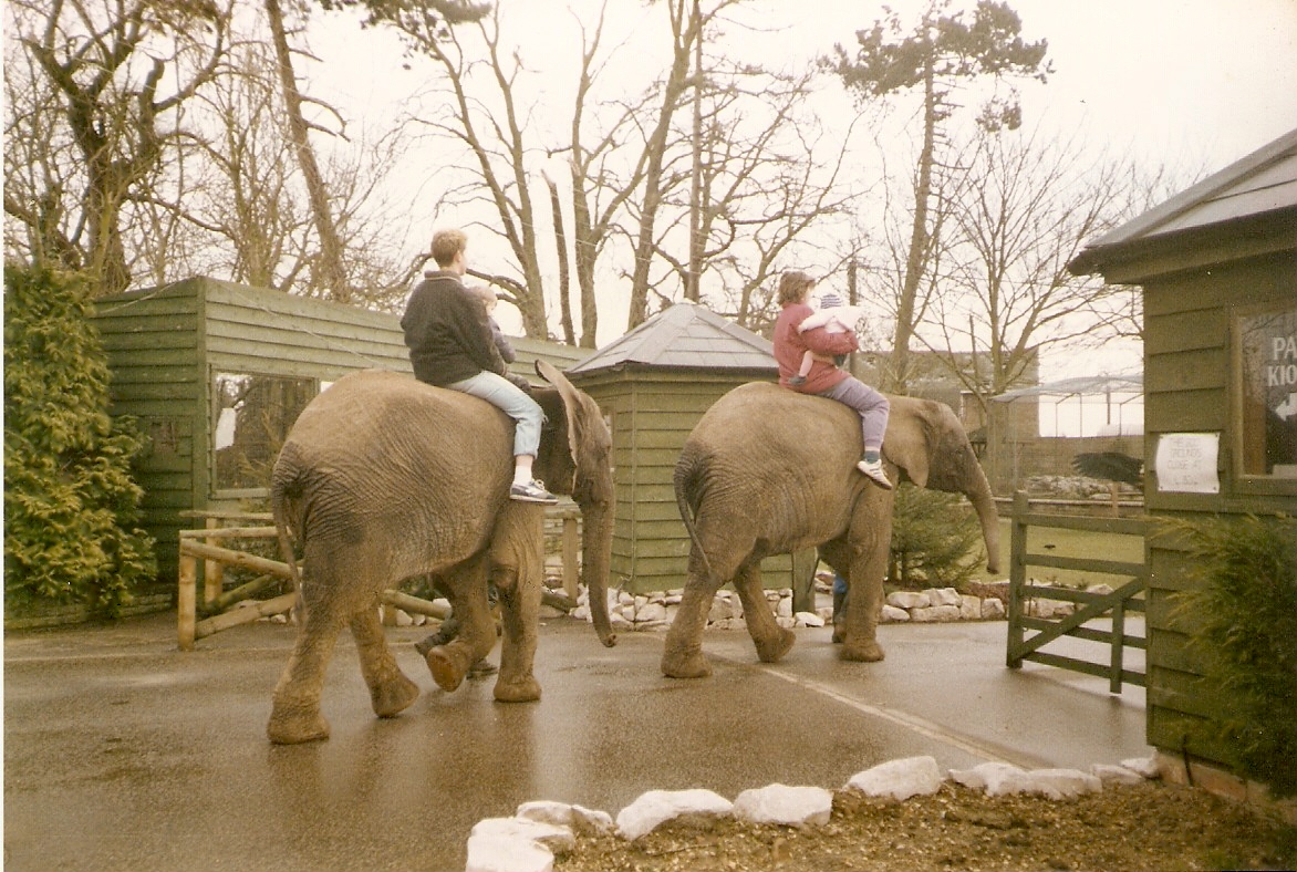 Ancient photos of Colchester circa1987-1988