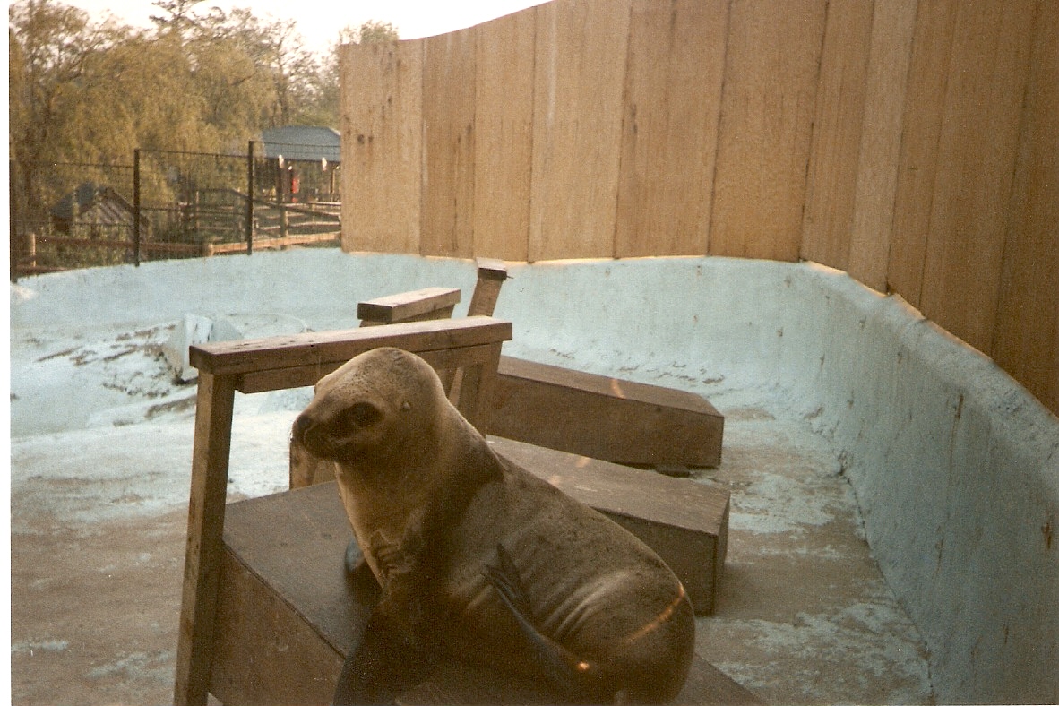 Ancient photos of Colchester circa1987-1988