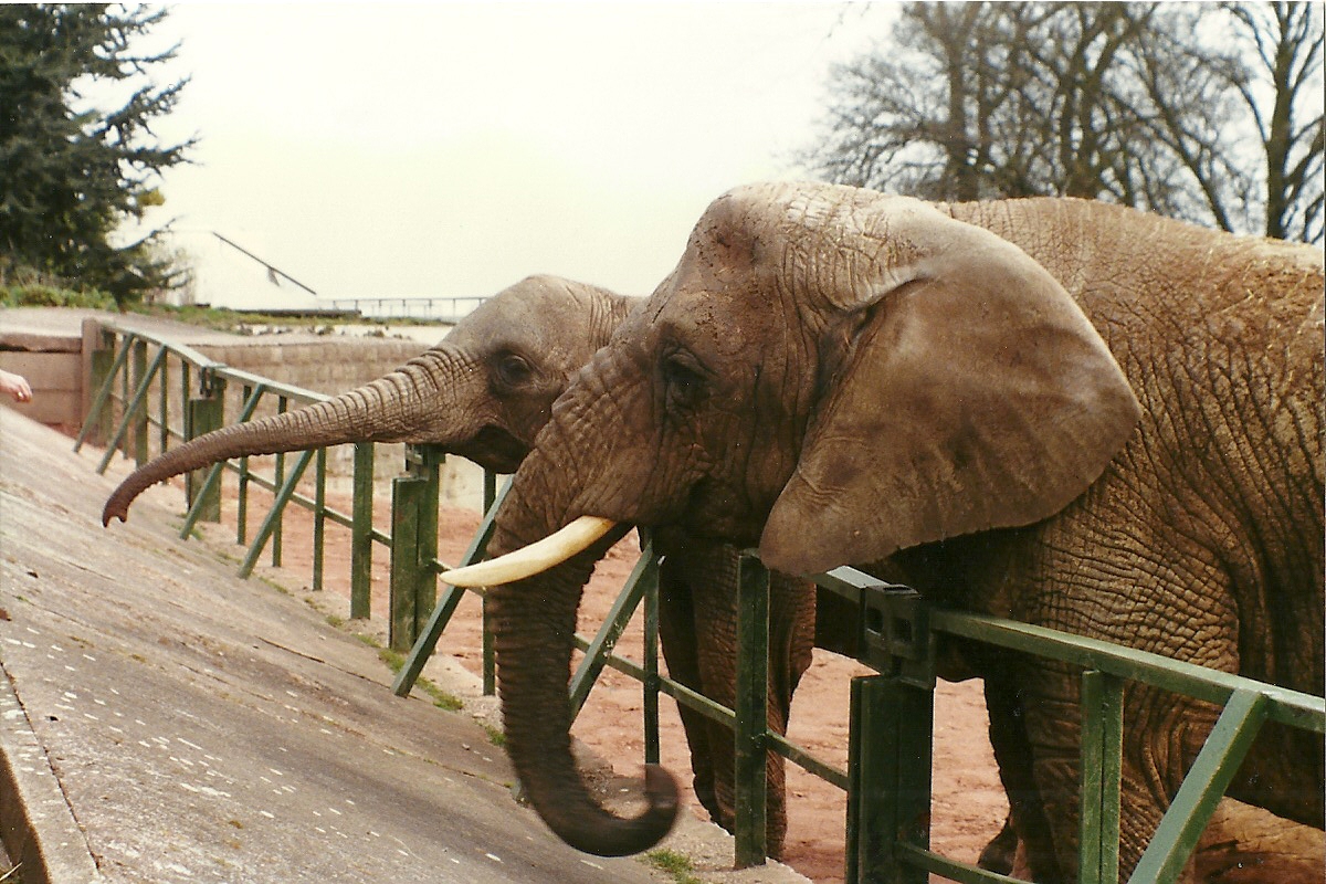 And another one 20th April 1996