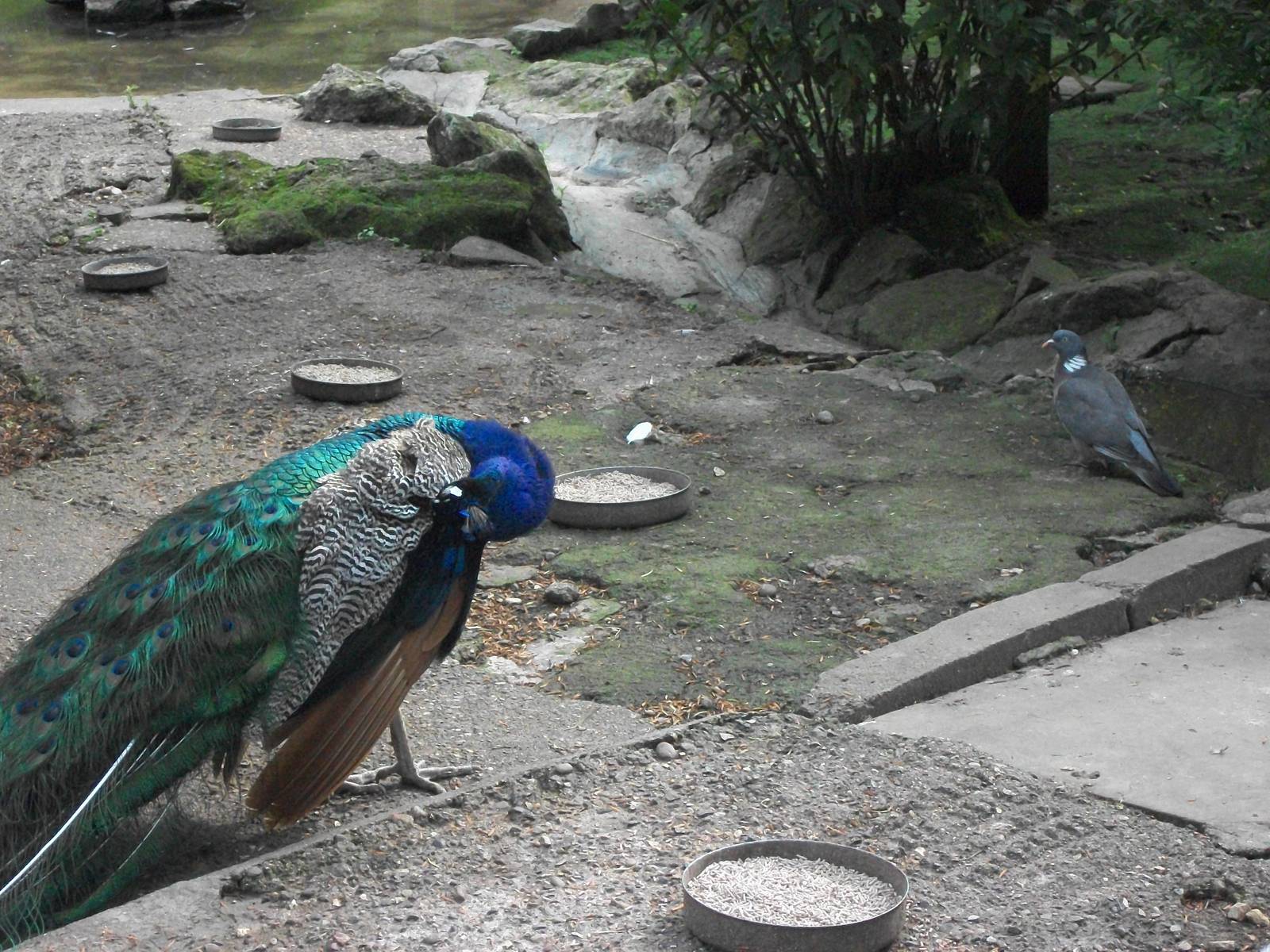 And another one, 20th July 2014