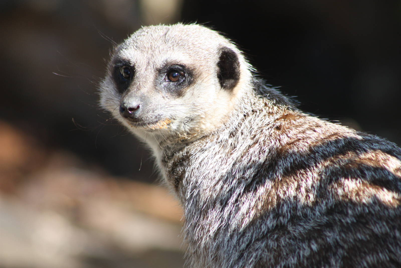 And another one, 6th May 2014