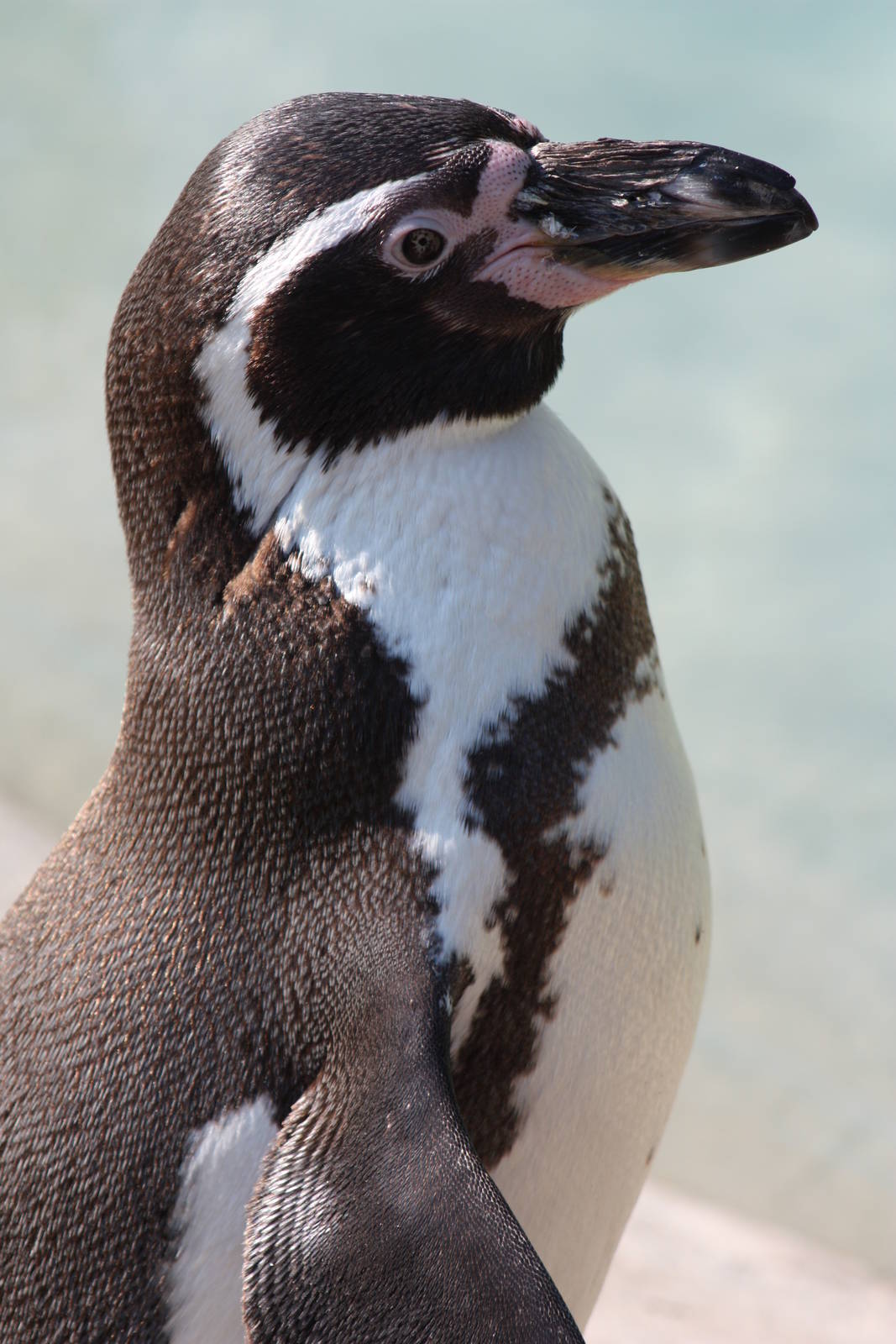 And closer, 1st June 2014