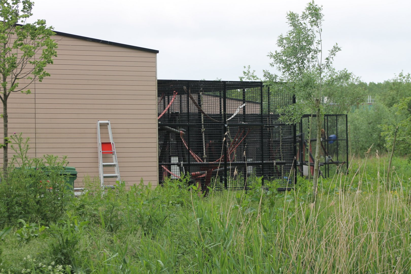 And even more behind-the-scenes enclosures