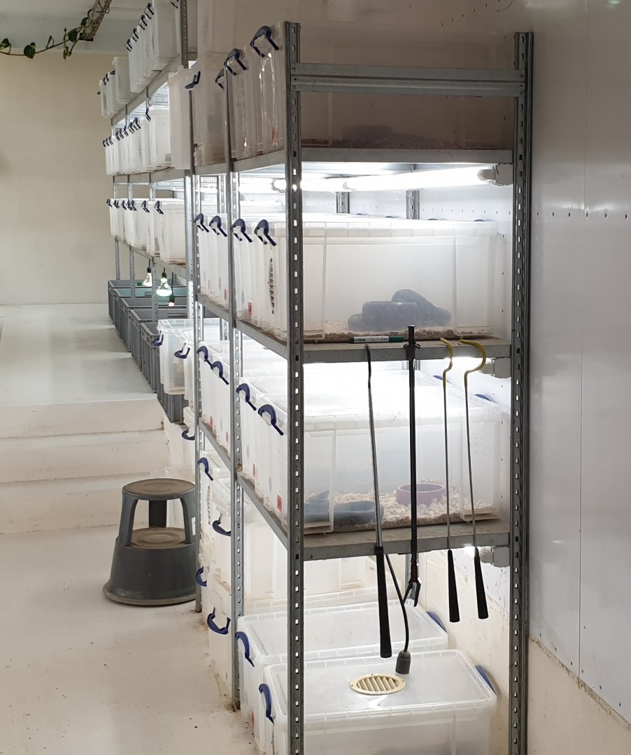 And even more Herp-holding area