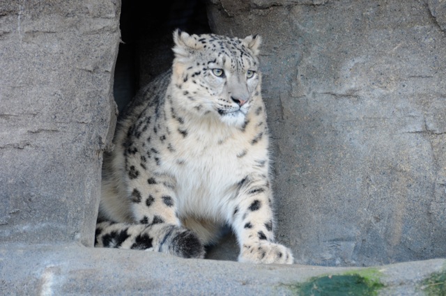 . . . and her future mate Indeever