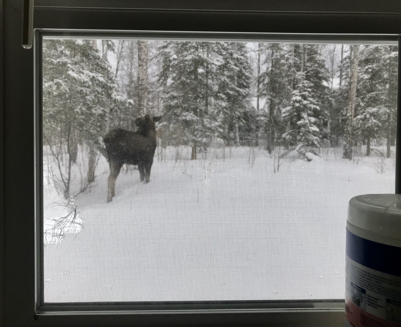 And Outside it’s Alaska...