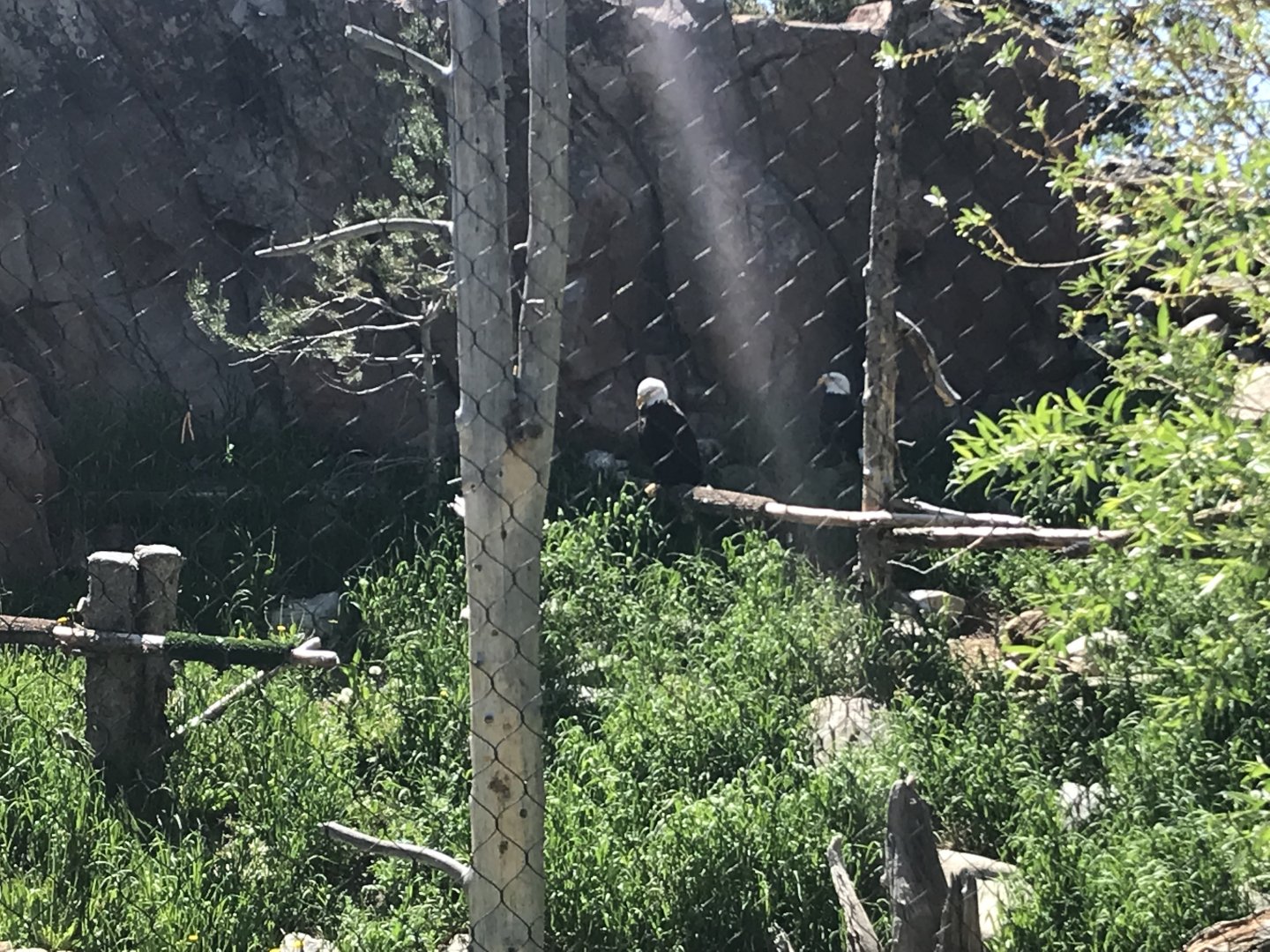 And then there were 2