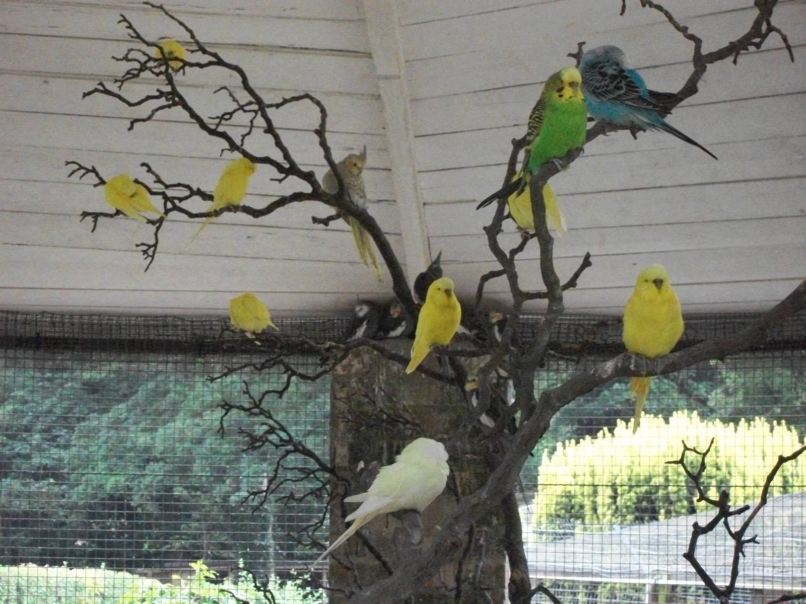 And there they are, 1st August 2014