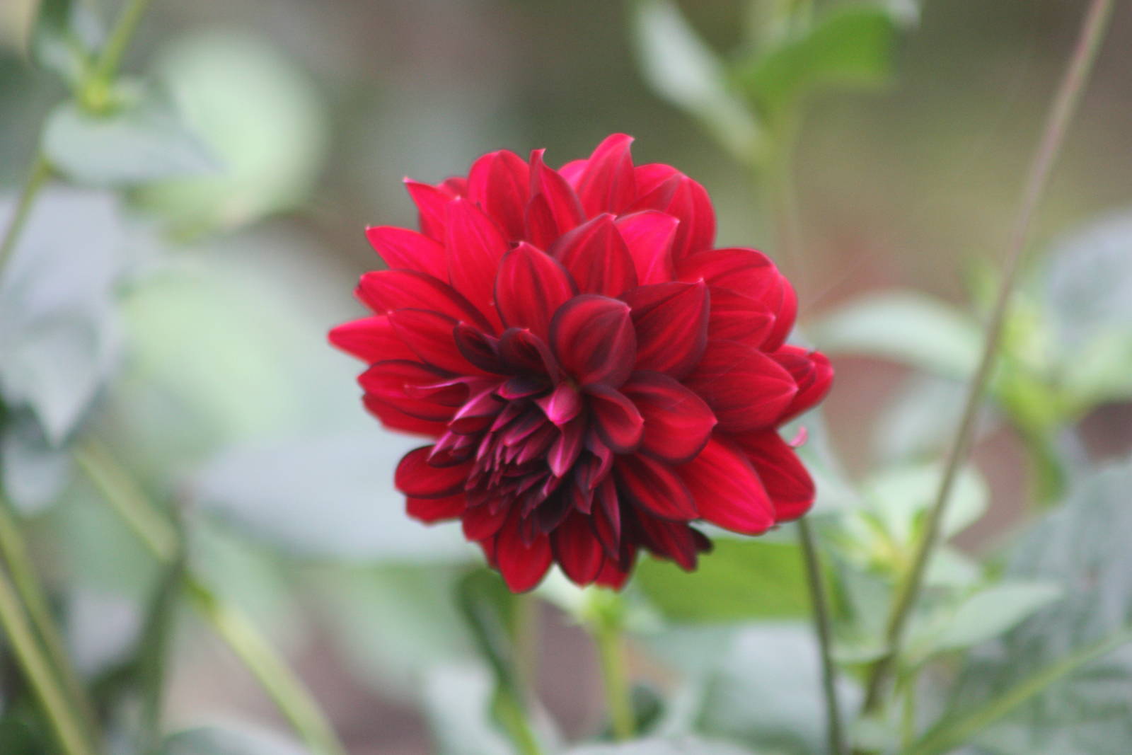 And this one, 27th October 2014