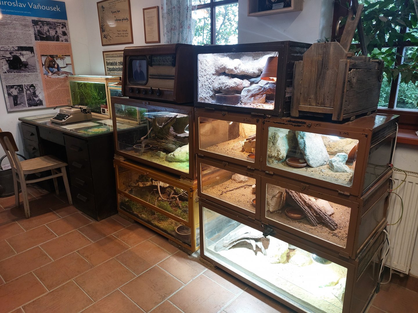 And yet more terraria....