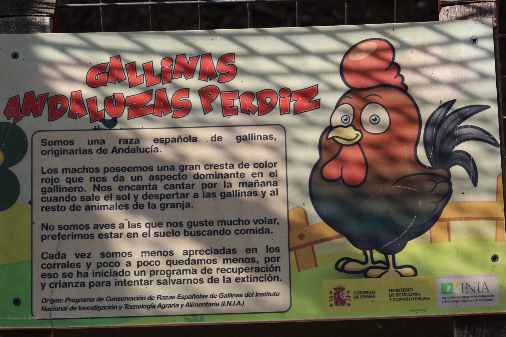 Andalusian Chicken Signage