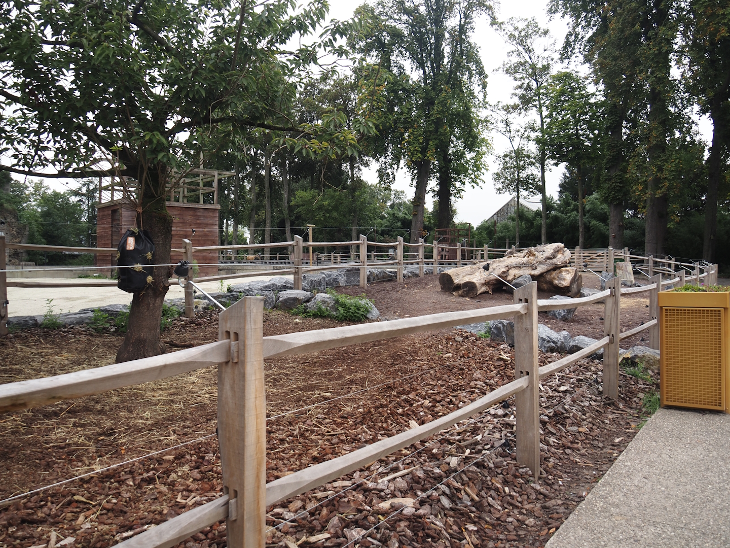 Andalusian horse paddock around the former raptor show arena, 2024-09-17
