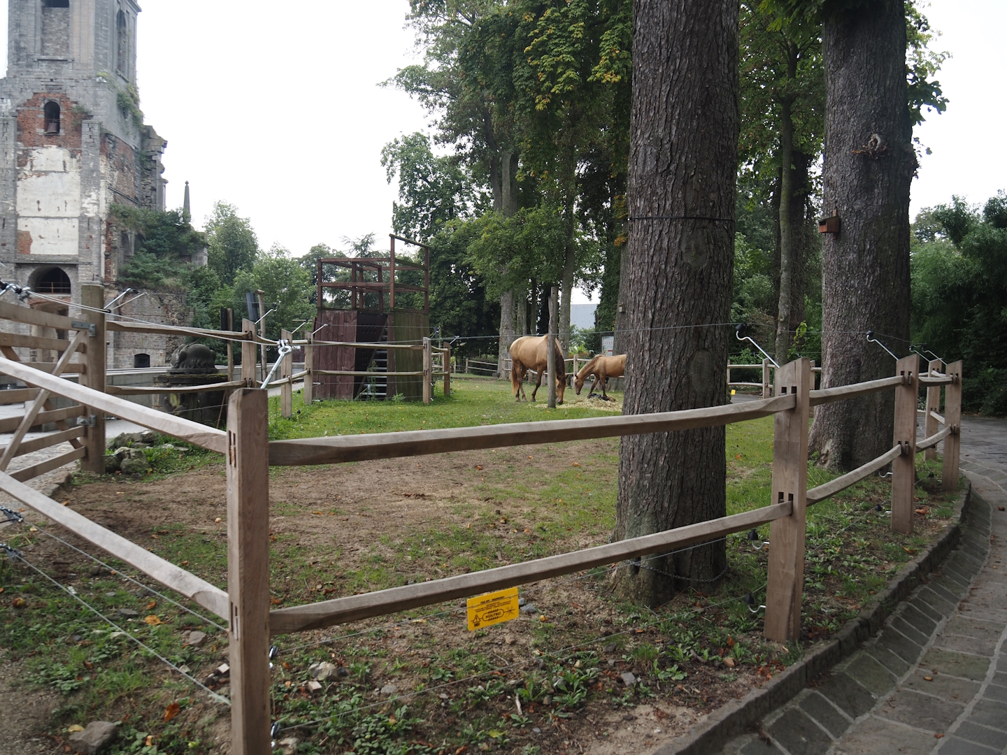 Andalusian horse paddock around the former raptor show arena, 2024-09-17