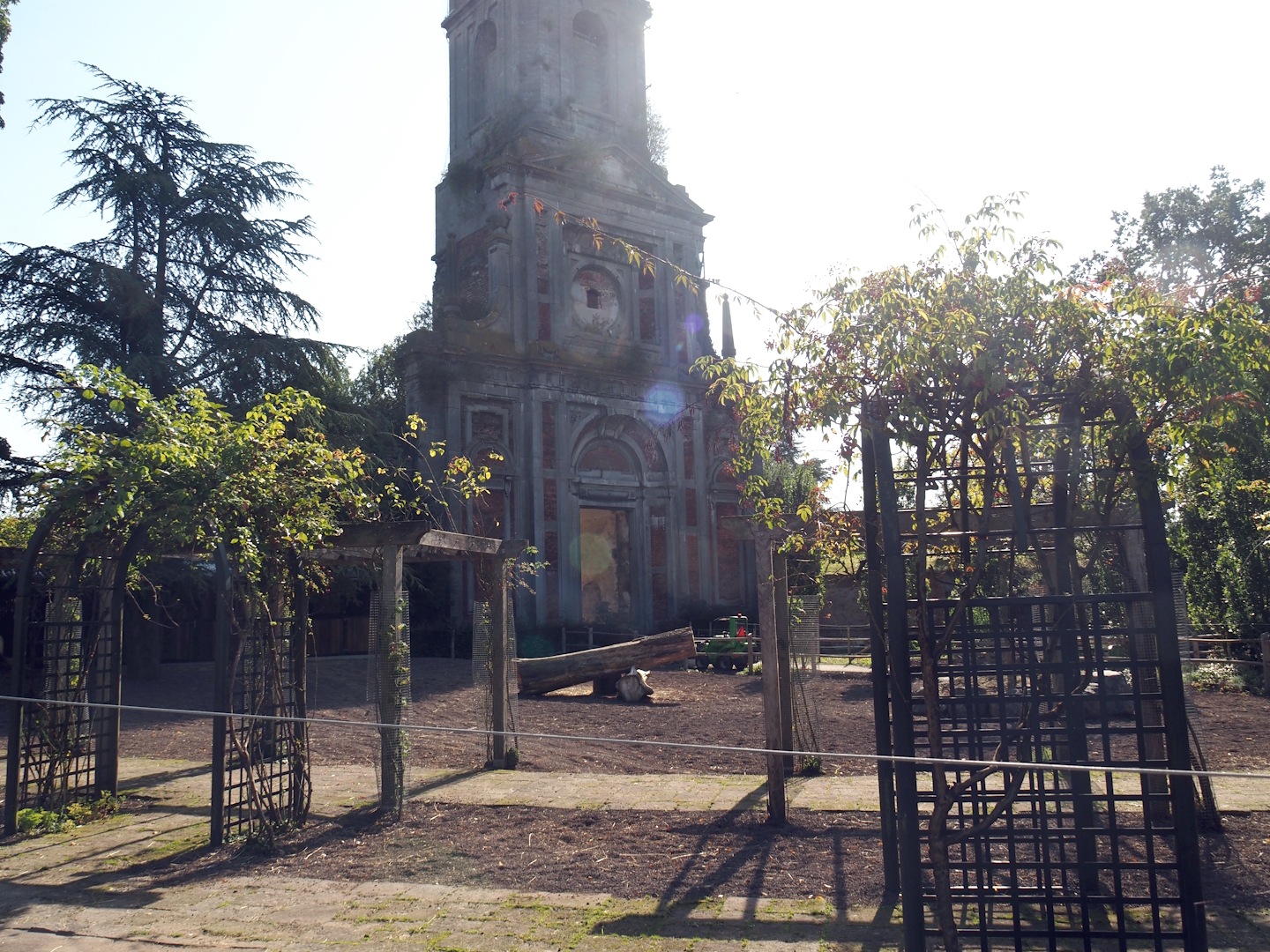 Andalusian horse paddock in former rose garden area, 2024-09-17