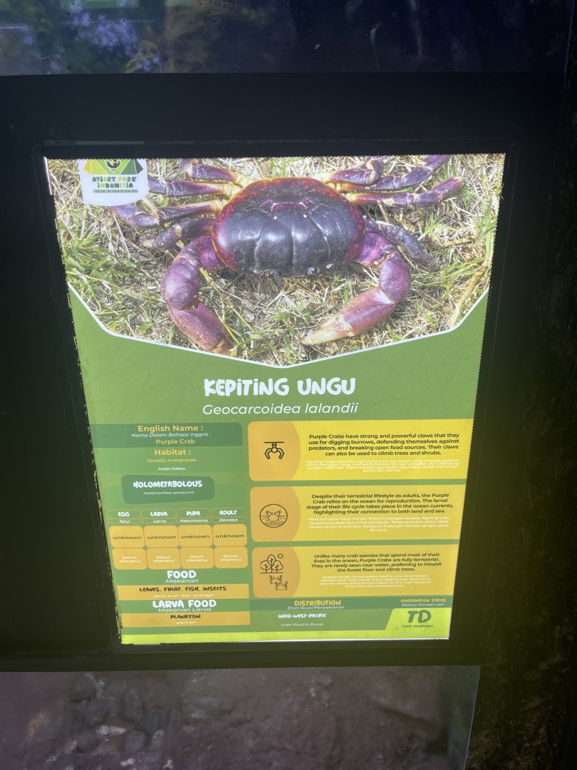 andaman islands purple crab signage - aviary park