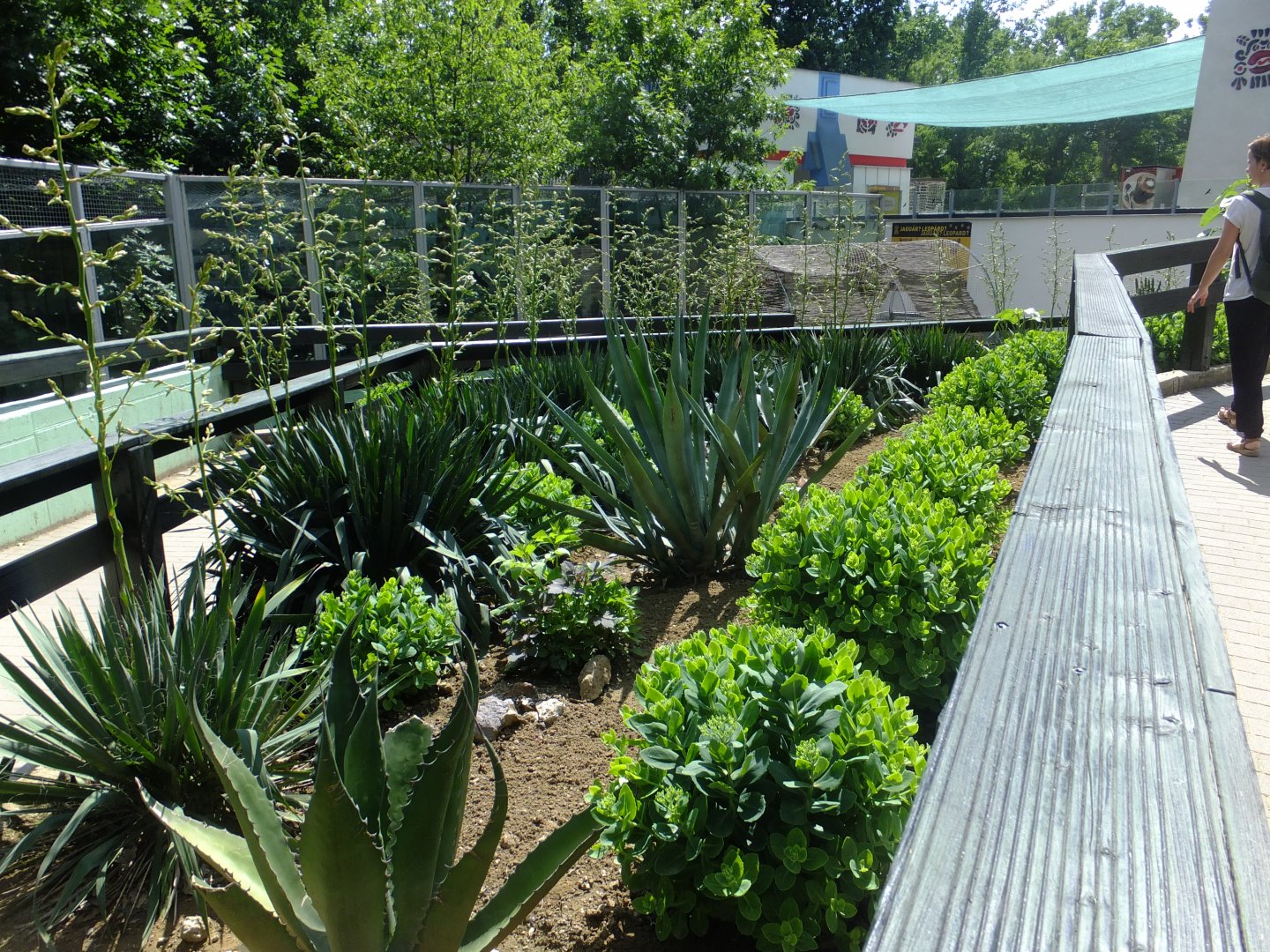 Andean Adventures , general view 1.