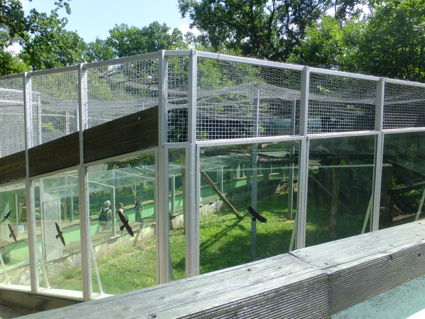 Andean Adventures, Jaguar enclosure