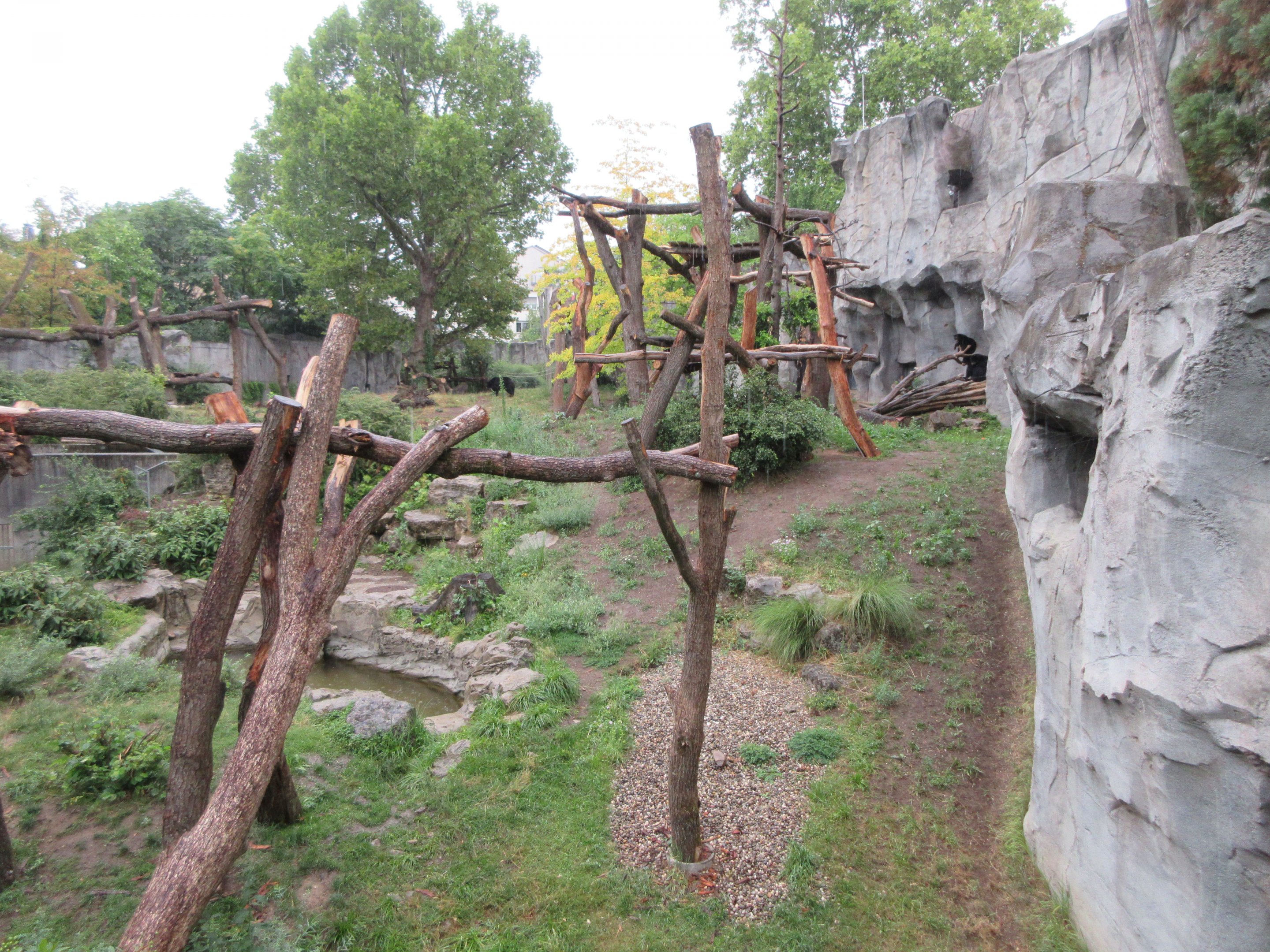 Andean Bear/Bush Dog Exhibit (superb!)