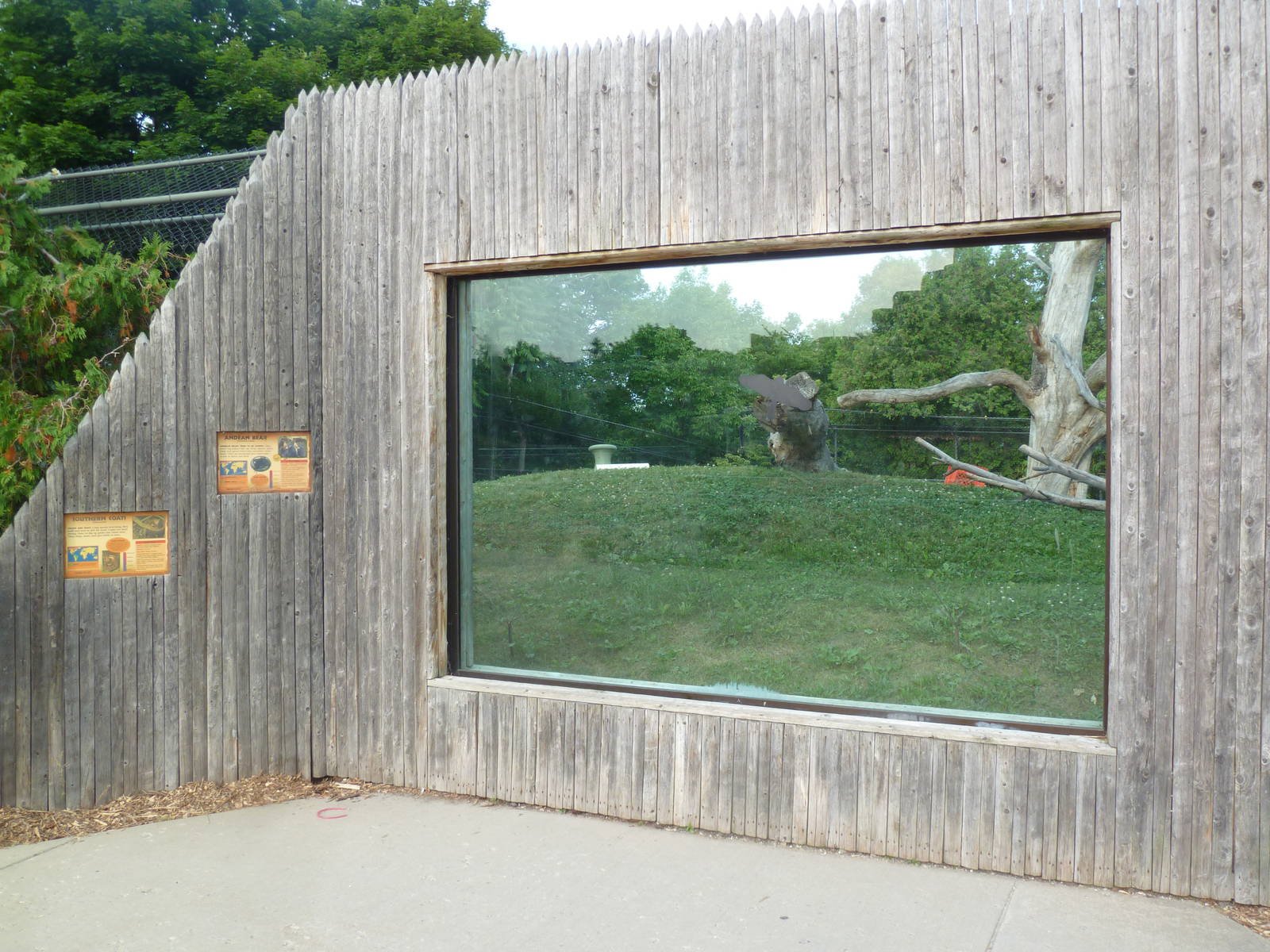 Andean Bear/Coati Exhibit