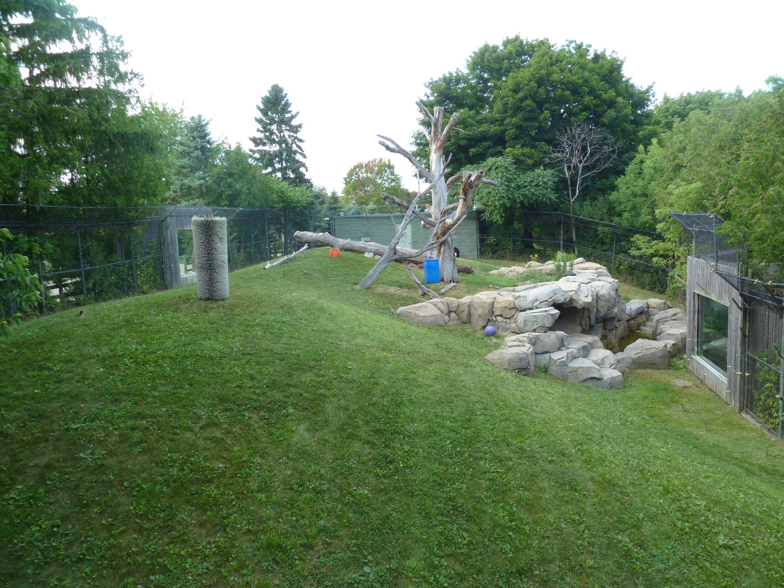 Andean Bear/Coati Exhibit