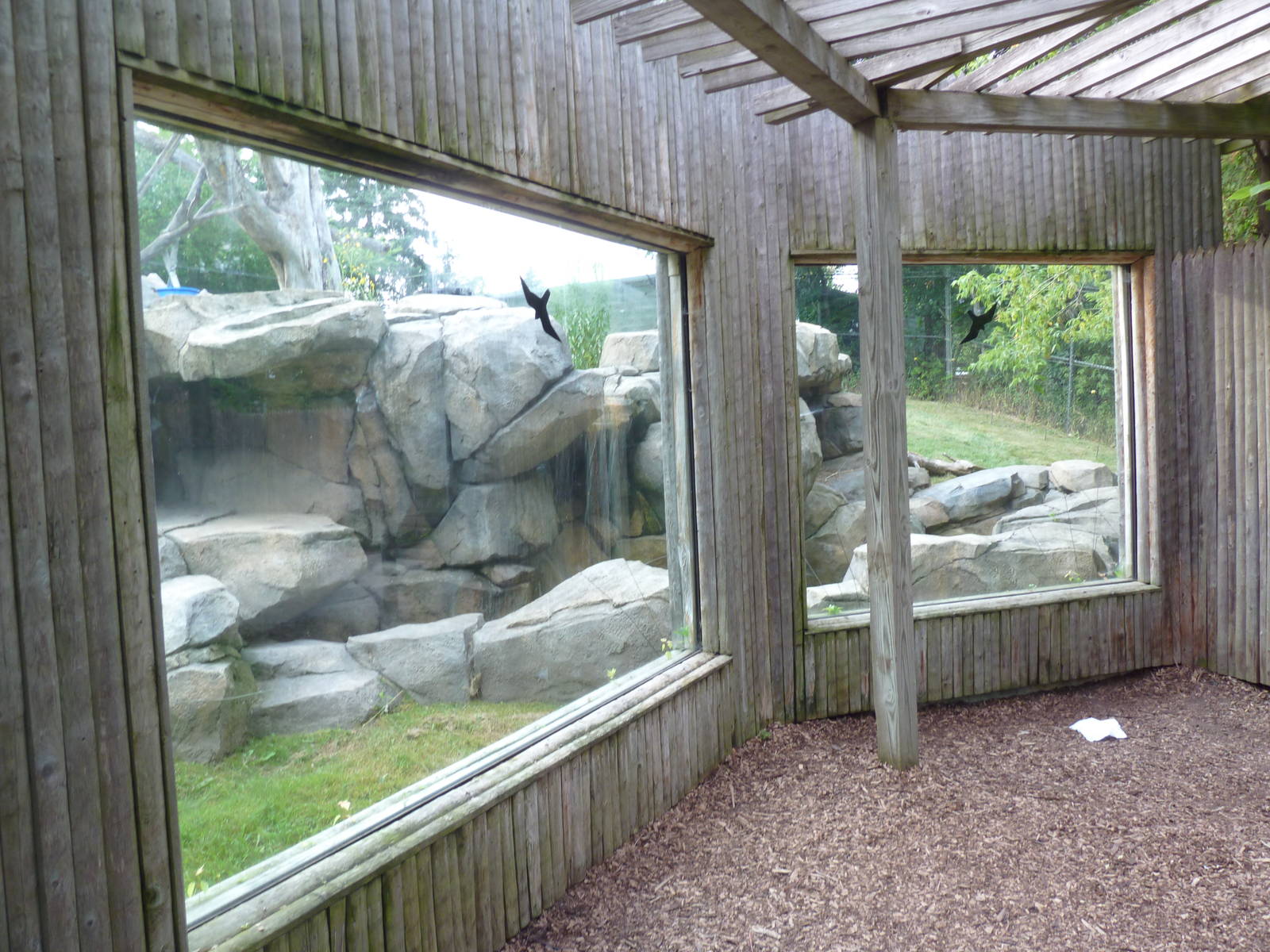 Andean Bear/Coati Exhibit