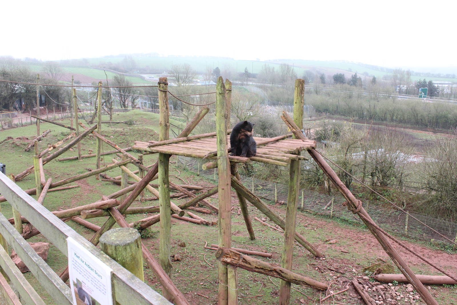 Andean Bear enclosure 1-4-14