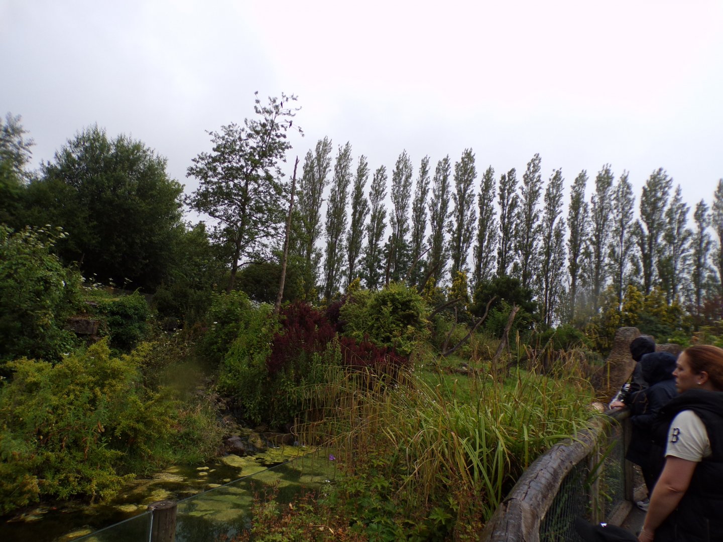 Andean bear enclosure 29.6.24