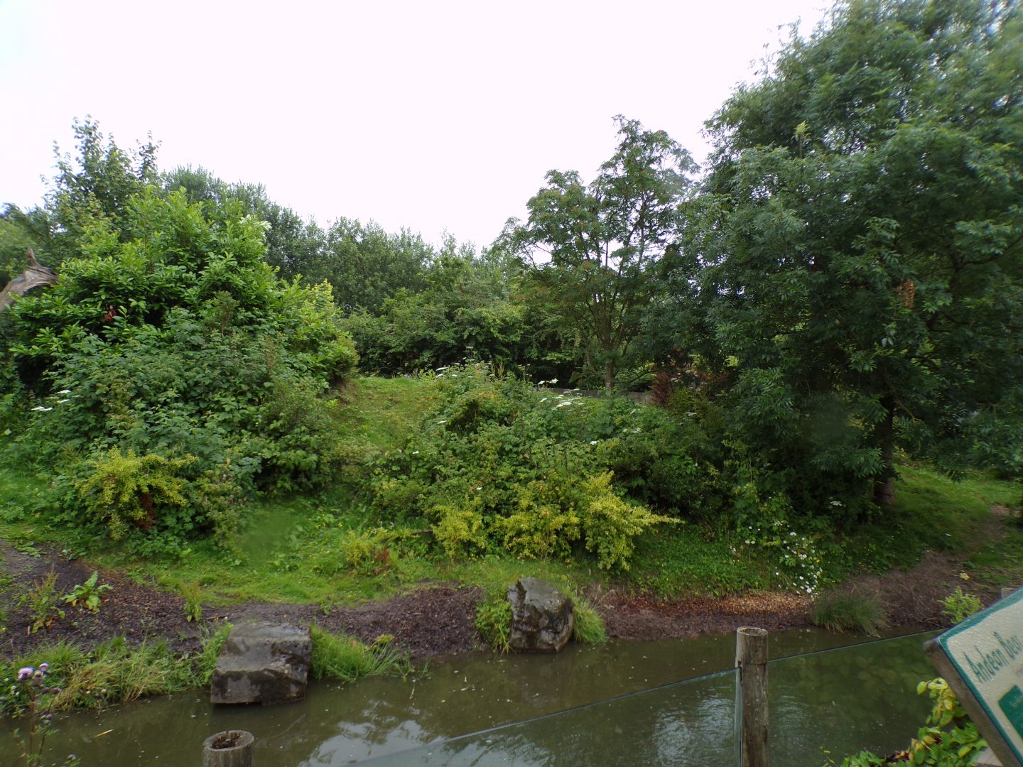 Andean bear enclosure 29.6.24