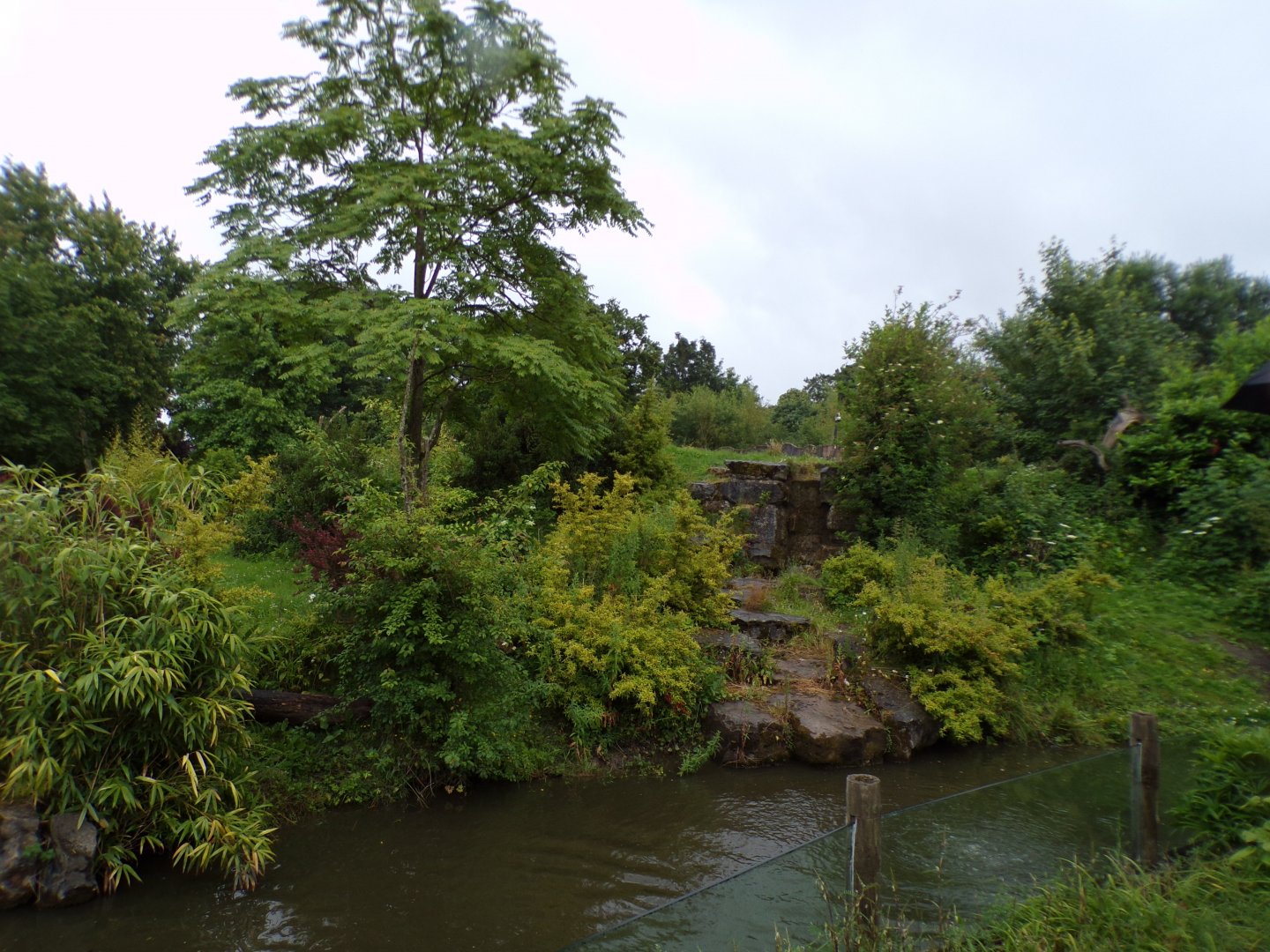 Andean bear enclosure 29.6.24