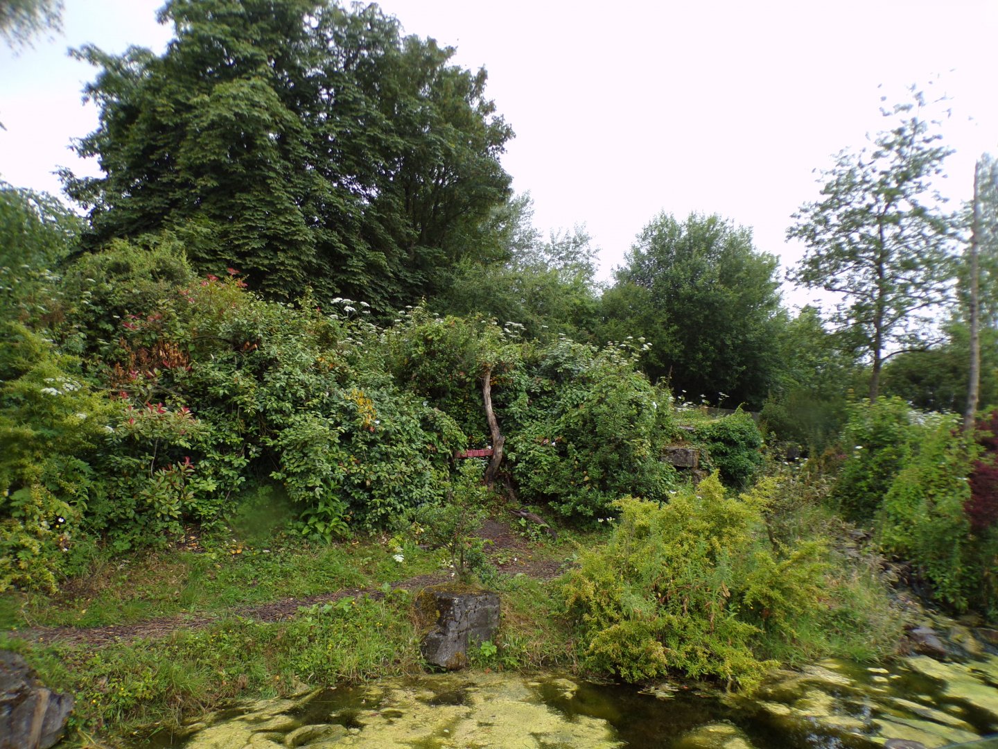 Andean bear enclosure 29.6.24