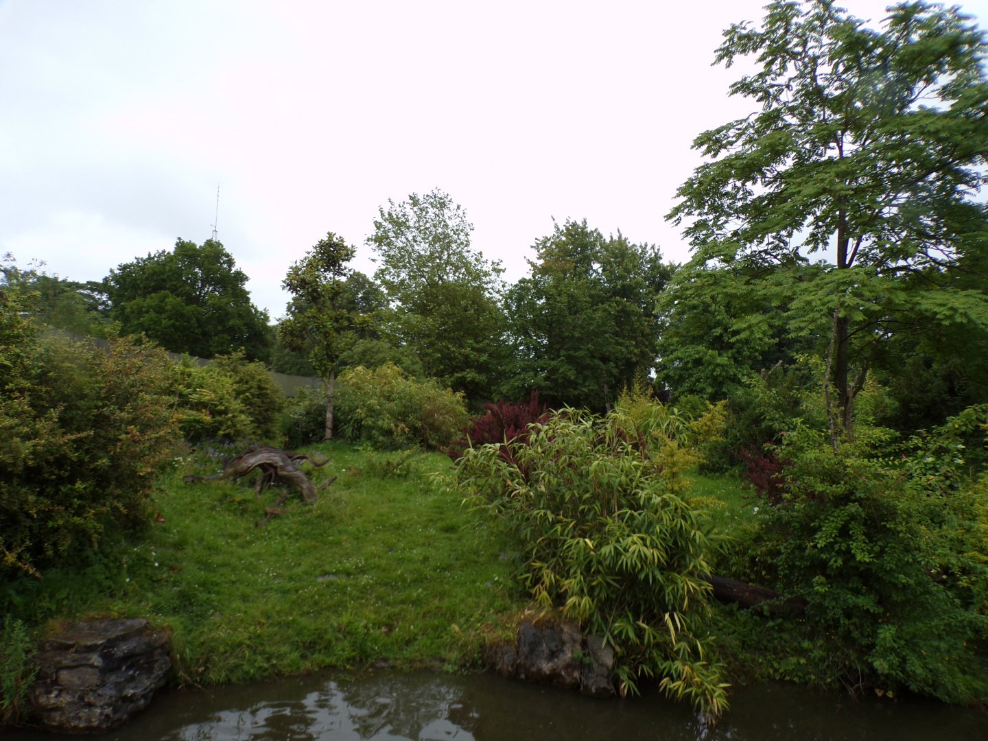 Andean bear enclosure 29.6.24