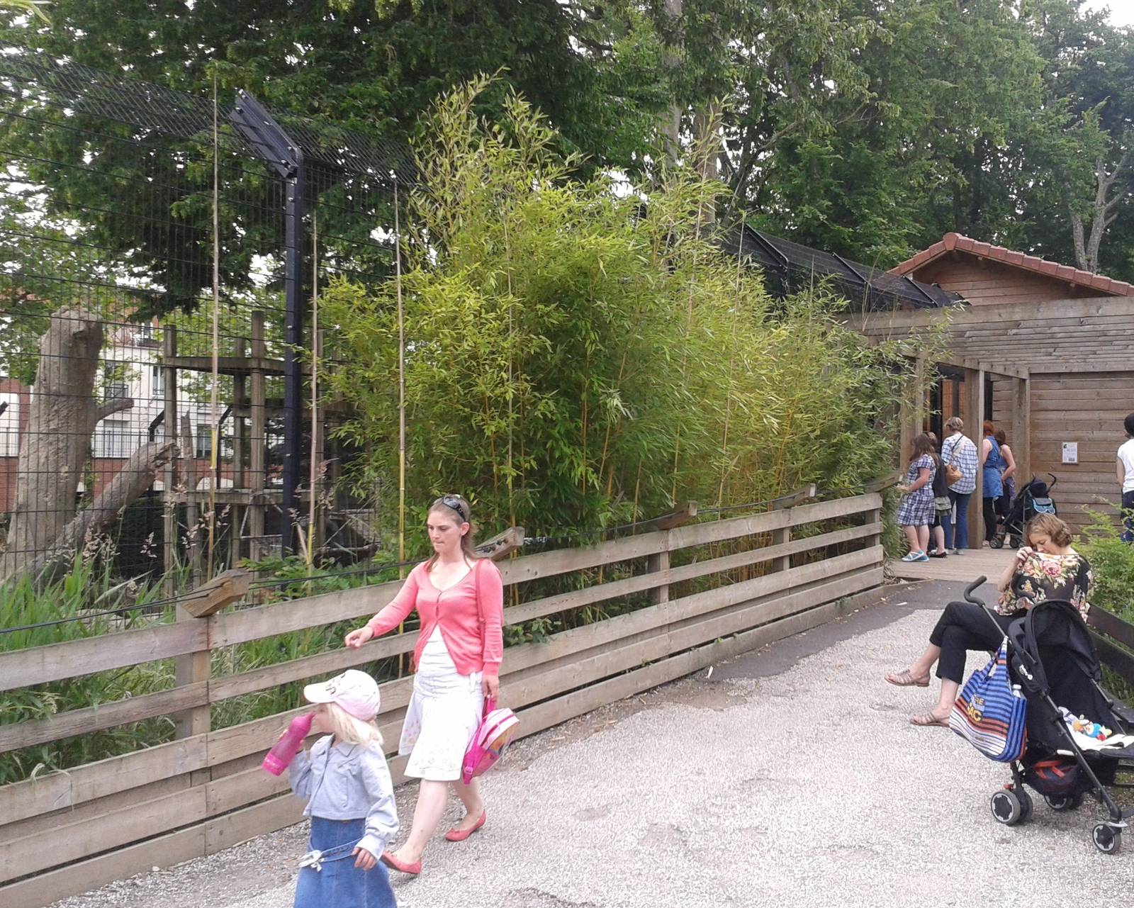 Andean bear enclosure