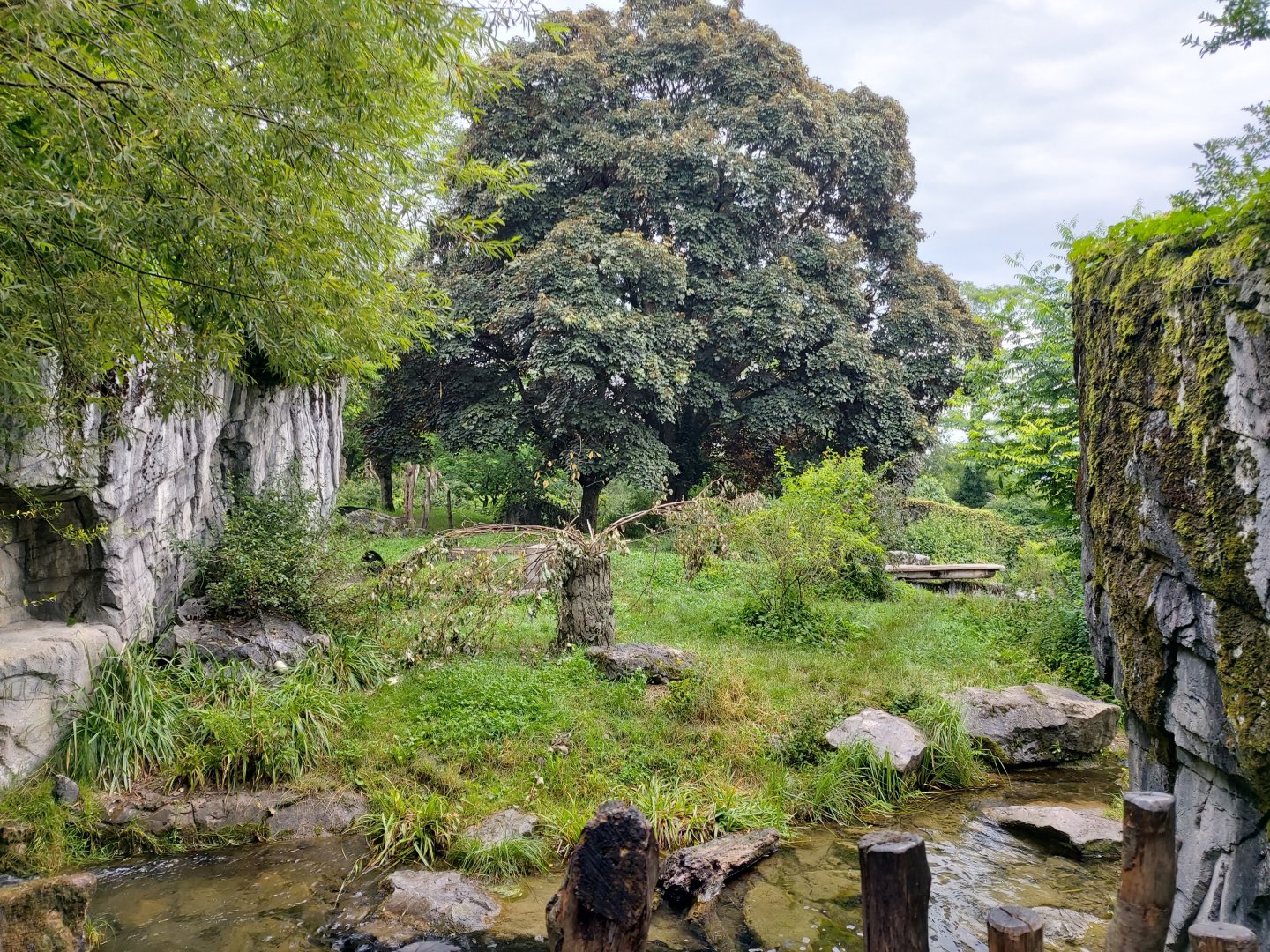 Andean bear enclosure