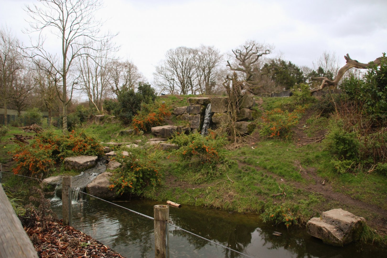 Andean Bear enclosure