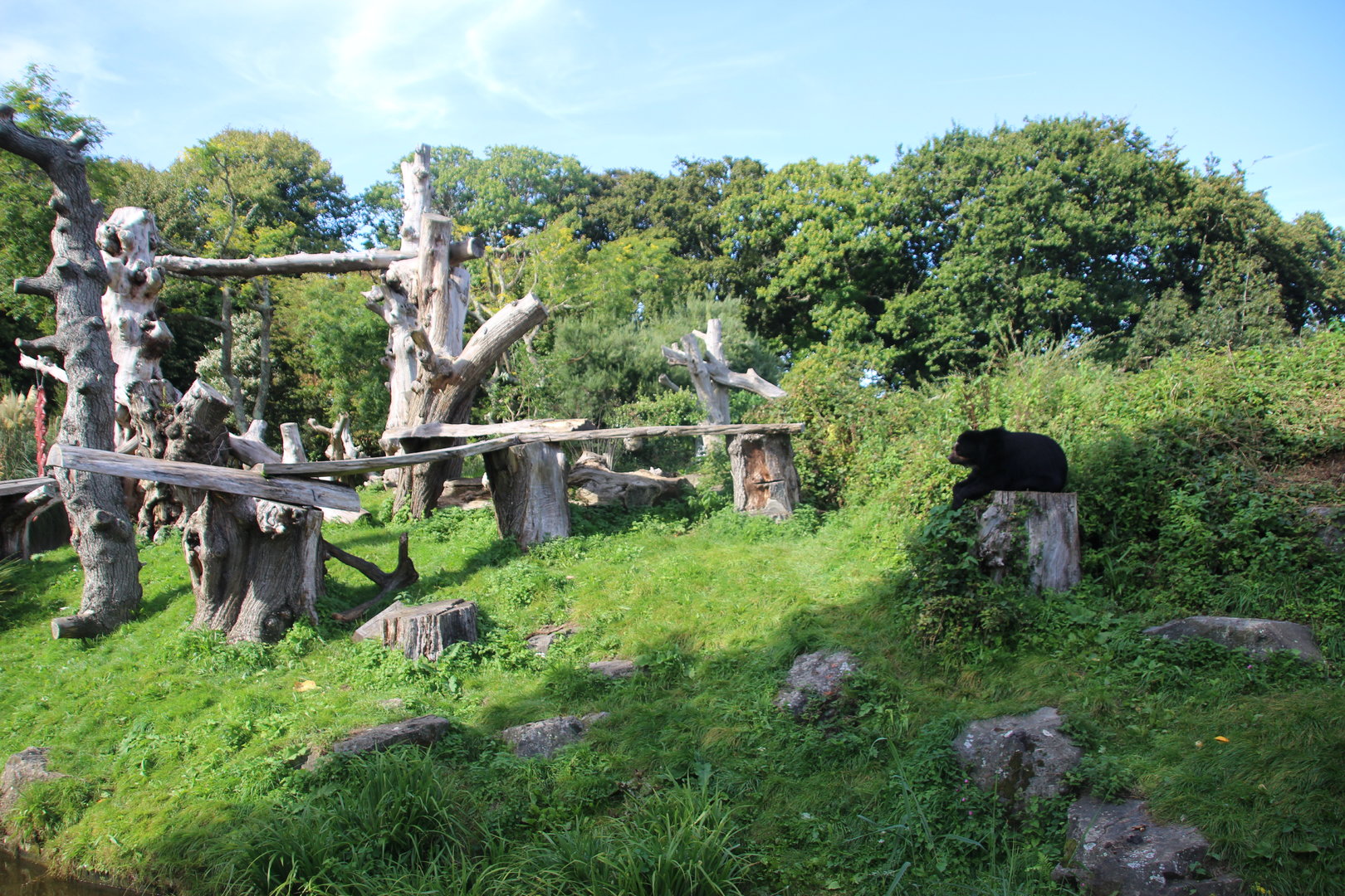 Andean Bear Enclosure