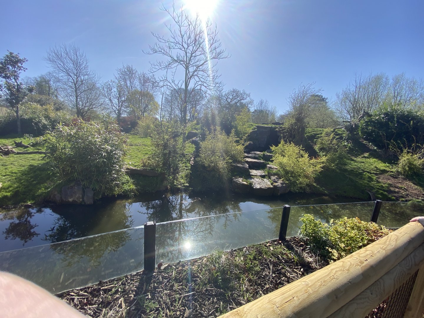 Andean bear enclosure
