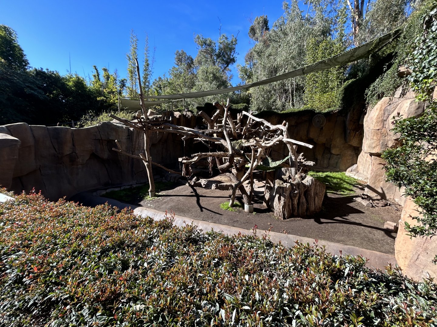 Andean Bear Exhibit #1 - Bear Canyon