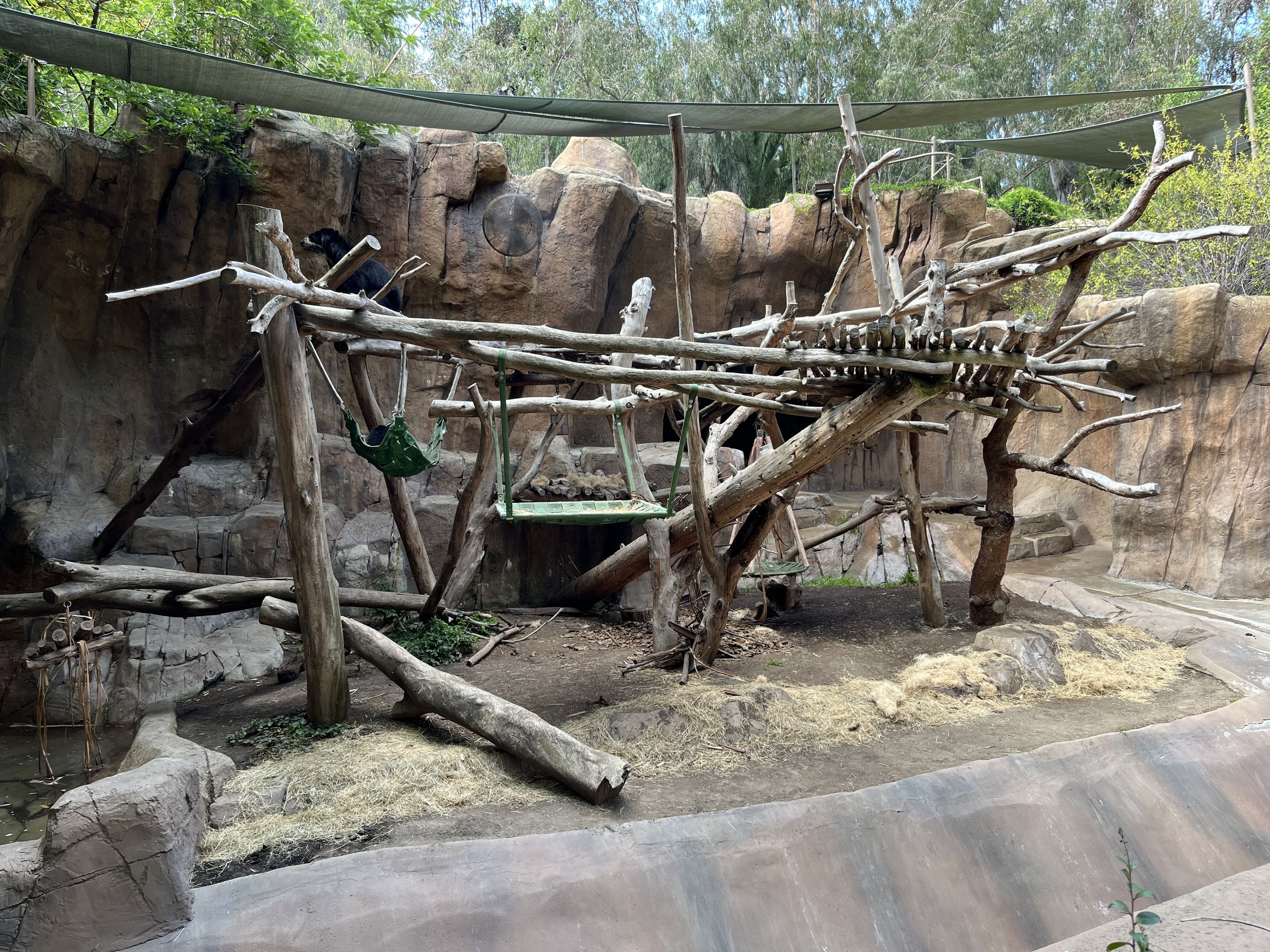 Andean Bear Exhibit (1 of 2 grottoes)