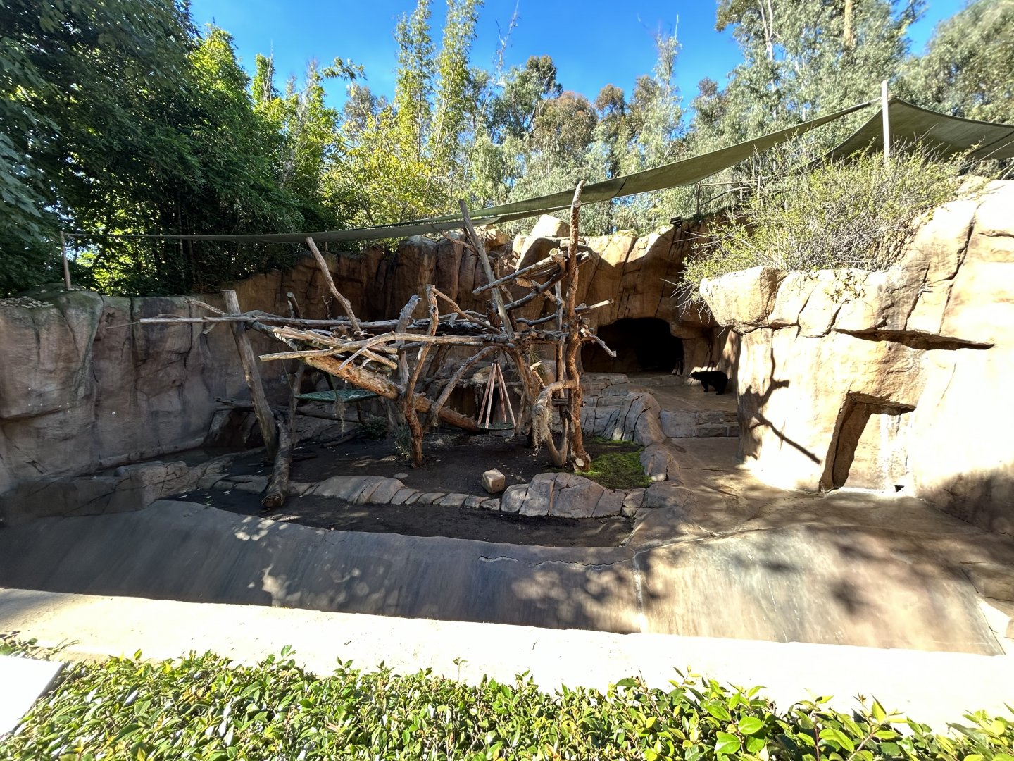 Andean Bear Exhibit #2 - Bear Canyon
