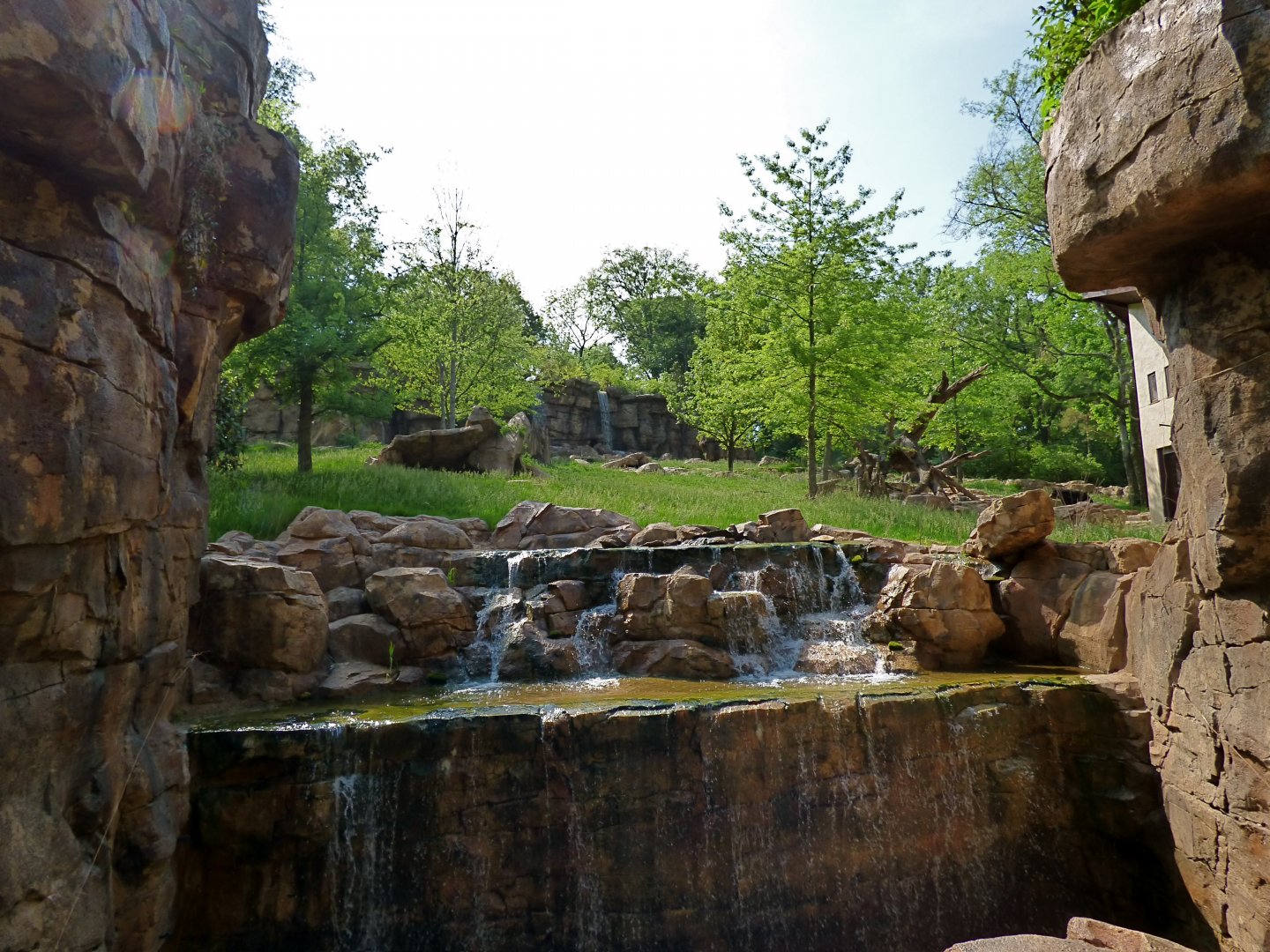 Andean Bear Exhibit (Expedition Peru) - May 2018