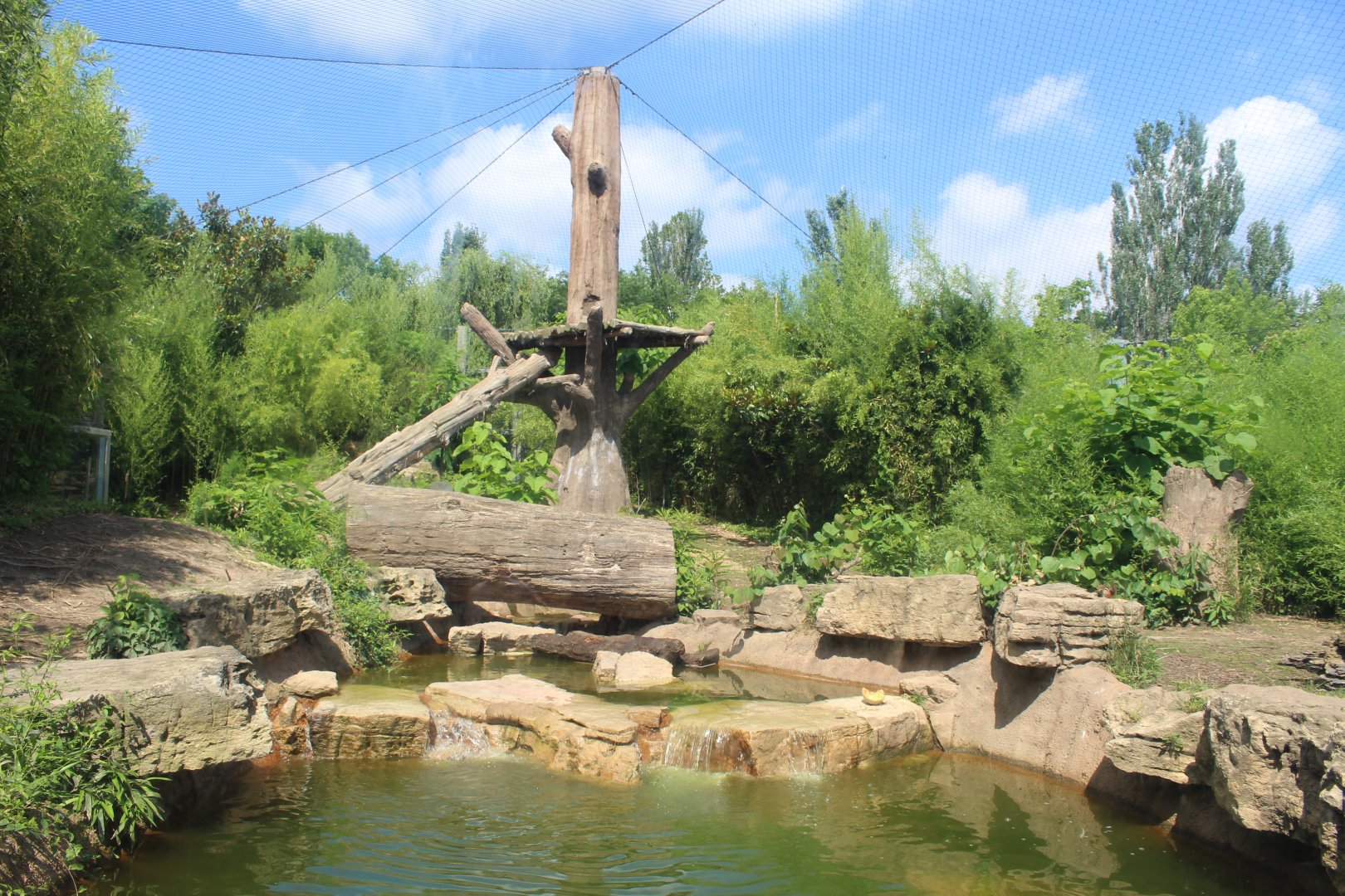 Andean Bear Exhibit - Rivers Edge