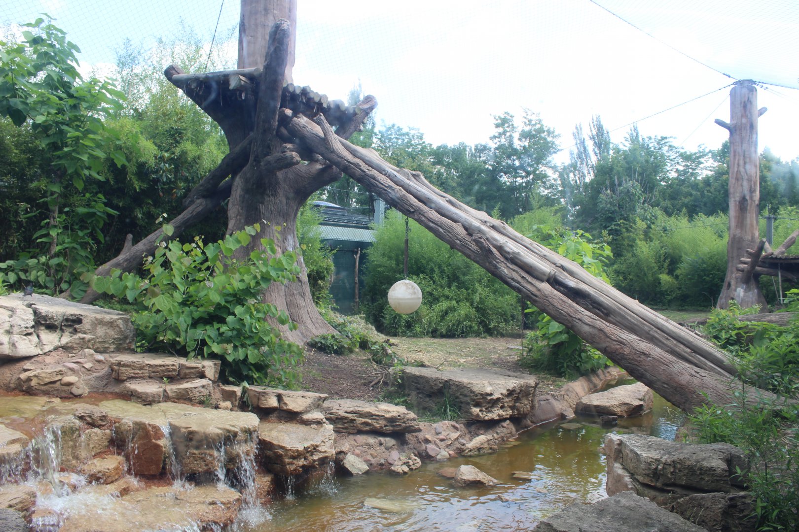 Andean Bear Exhibit - Rivers Edge