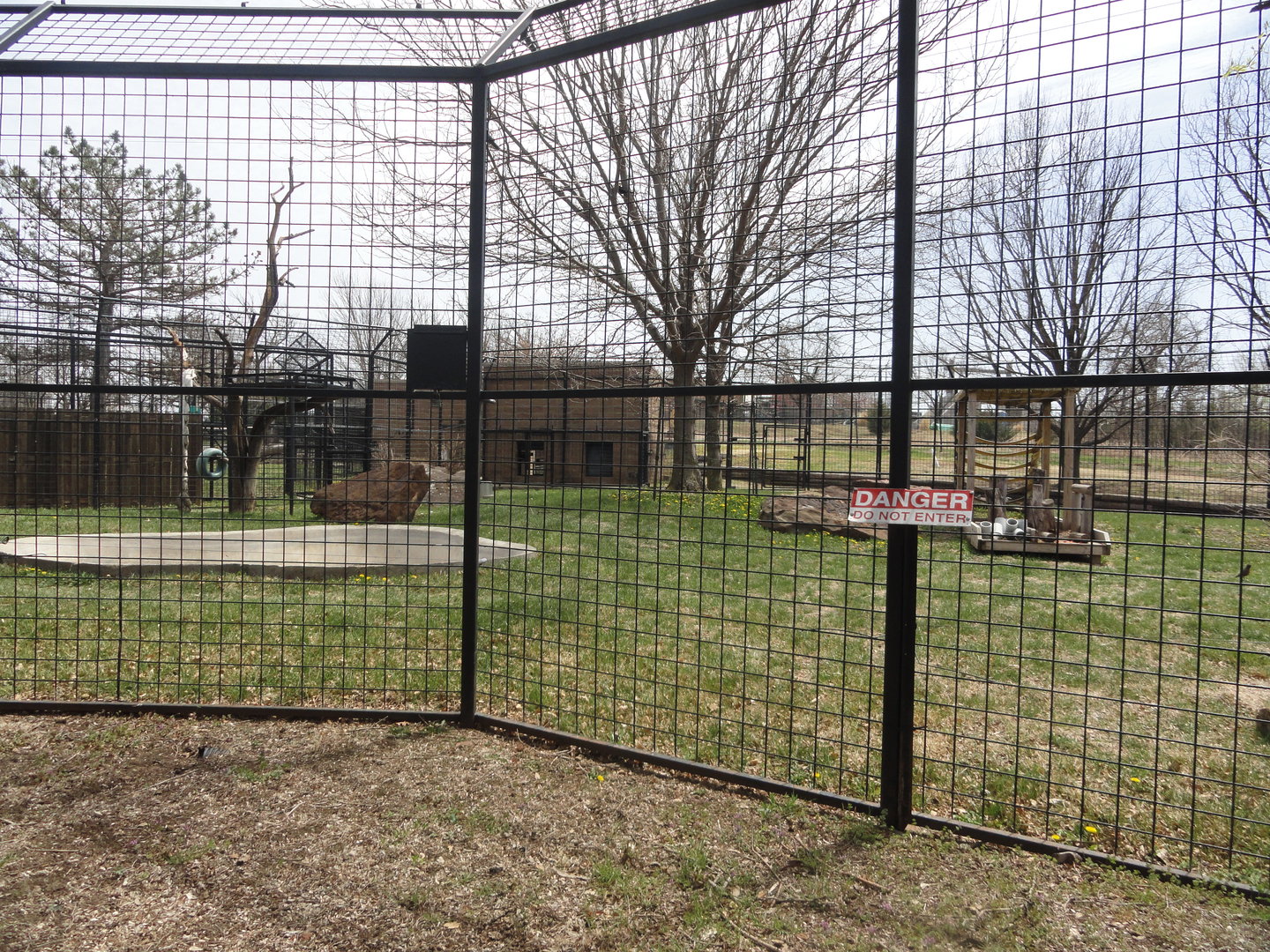 Andean Bear Exhibit - West