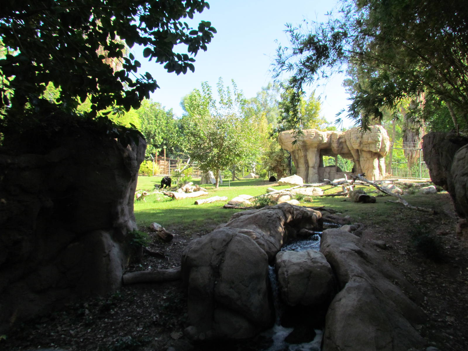 Andean Bear Exhibit