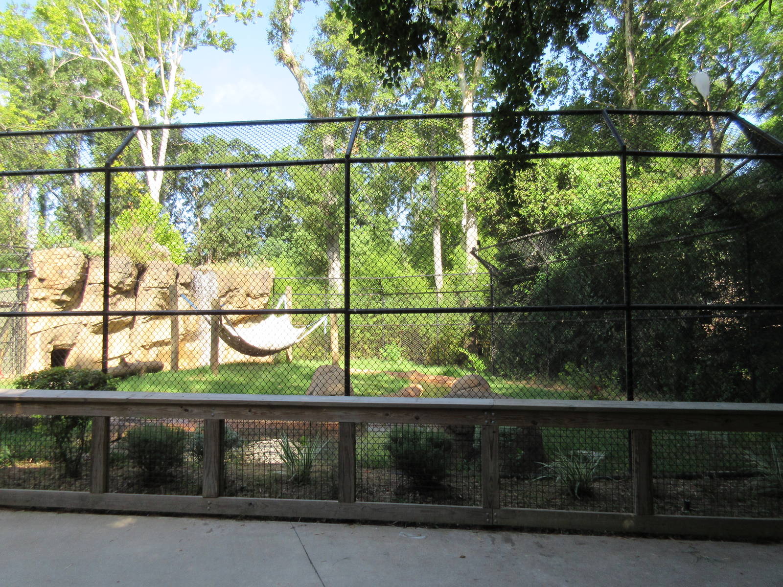 Andean Bear Exhibit