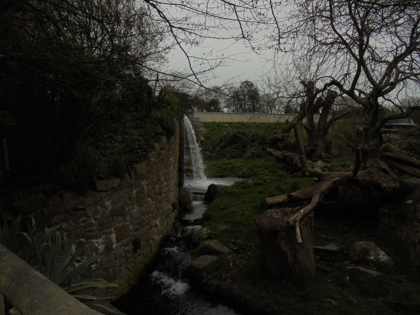 Andean bear exhibit