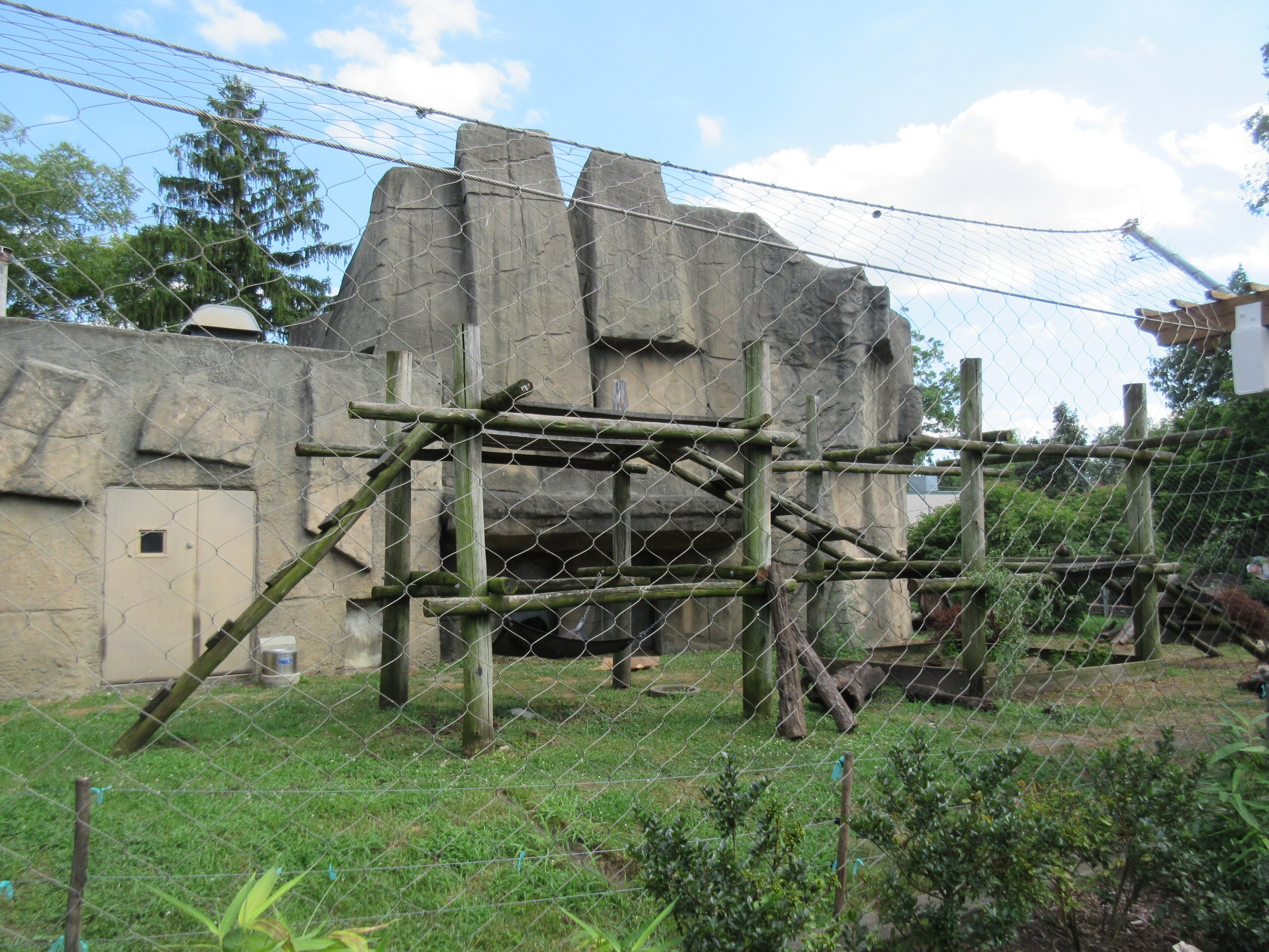 Andean Bear Exhibit