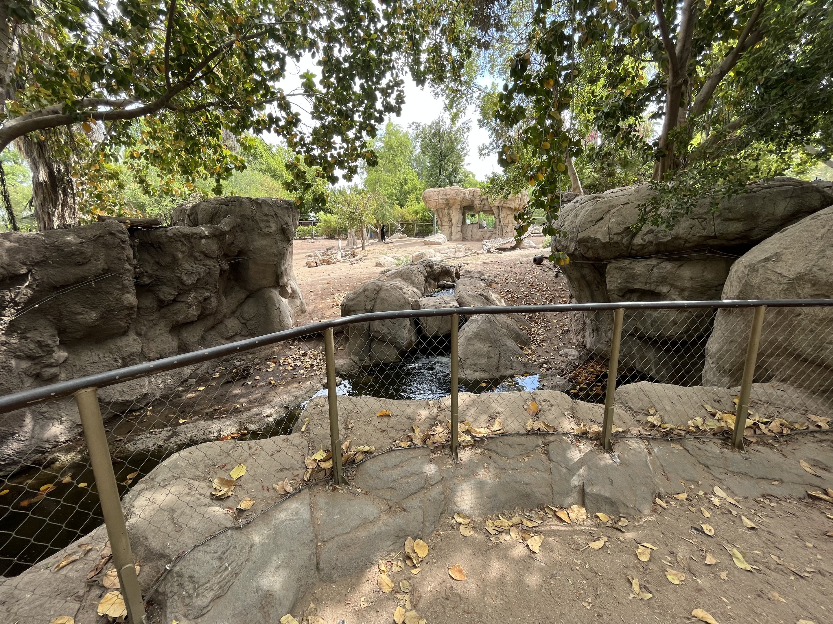 Andean Bear Exhibit