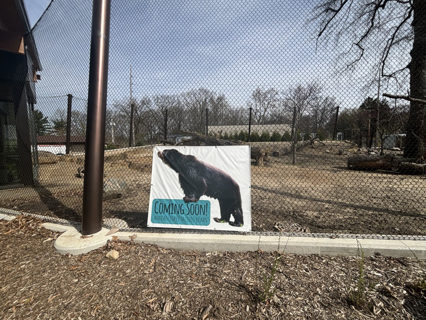Andean bear exhibit